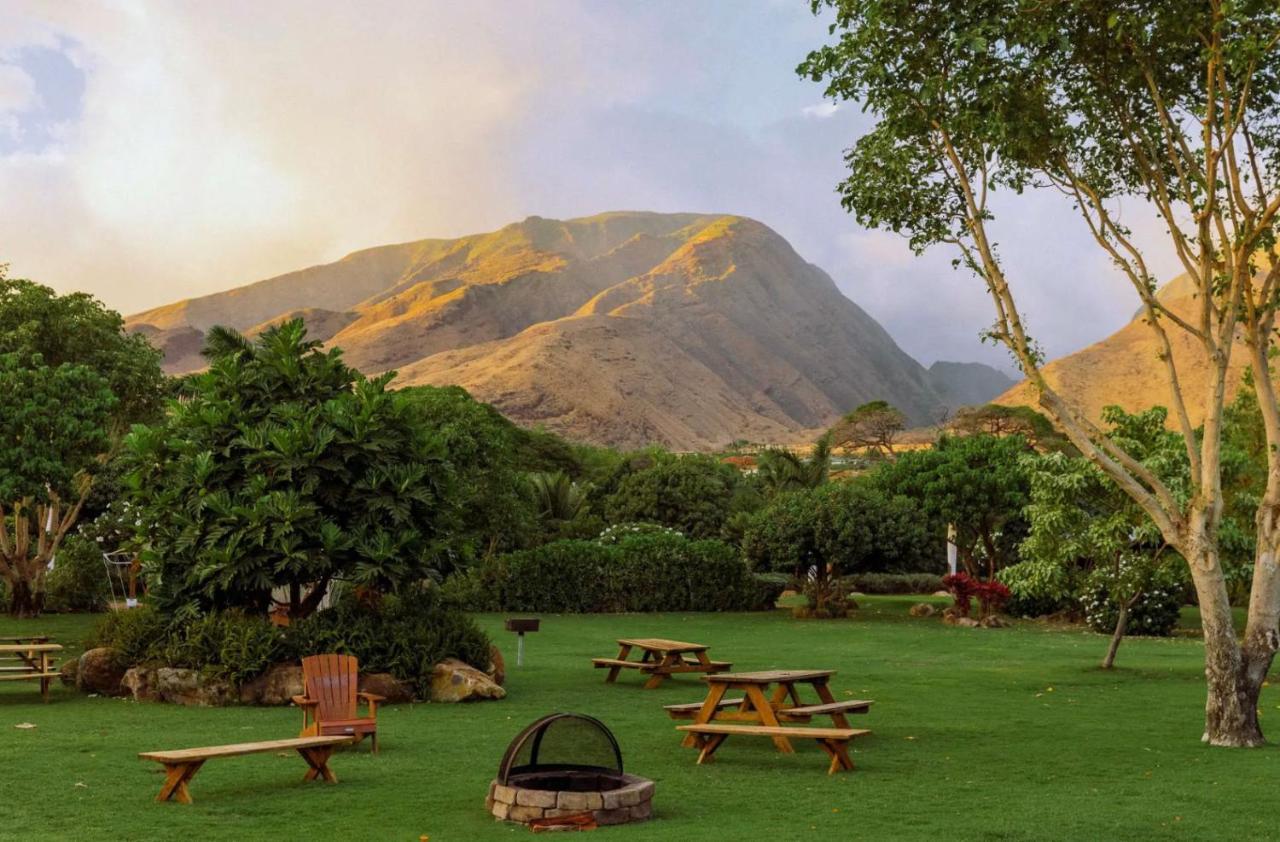 Explore Maui'S Diverse Campgrounds And Uncover The Island'S Beauty From Fresh Perspectives Every Day As You Journey With Aloha Glamp'S Great Jeep Equipped With A Rooftop Tent بايا المظهر الخارجي الصورة